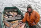 Ловимо карася в травні на вудку поплавця — підгодовування, техніка лову і поради від рибалок