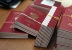 What are the deadlines for obtaining a new and old sample international passport through government services?