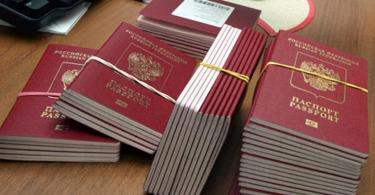 What are the terms for issuing a passport of a new and old sample through public services