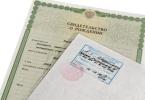 How and where to apply for citizenship of a child in Russia?